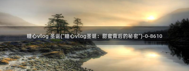 糖心vlog 小包子：糖心vlog 圣诞(\