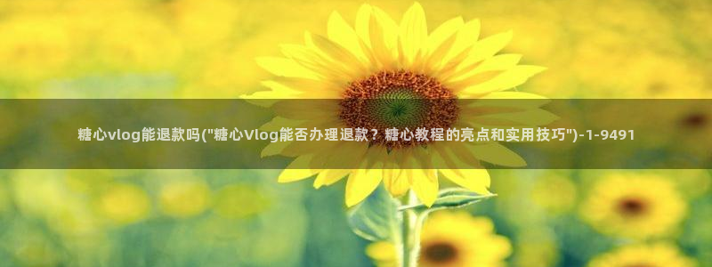 糖心vlog主演名字
