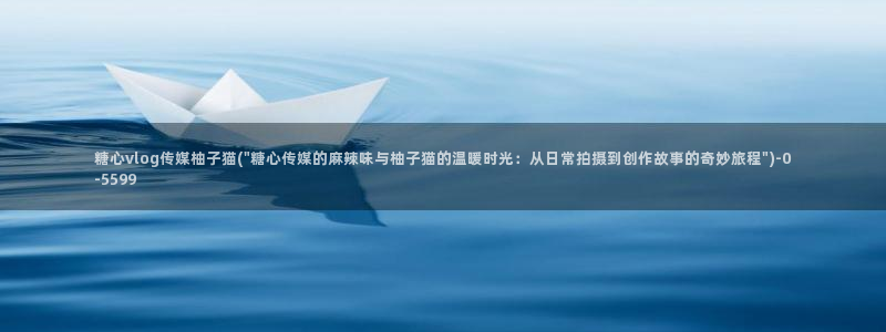 糖心vlog 免费观看