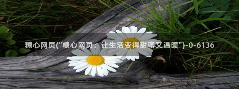 糖心视频vlog在线播放