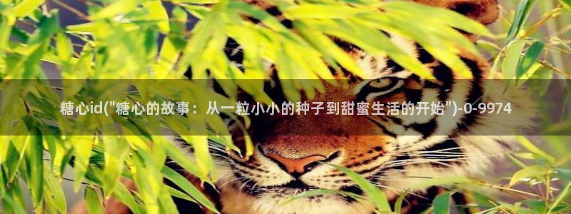 糖心vlog网站版：糖心id(\