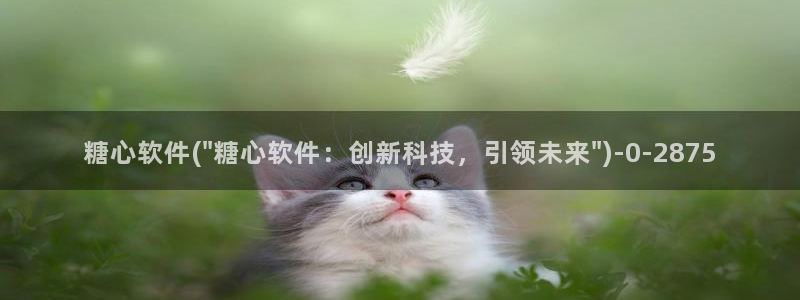 糖心vlog糖心