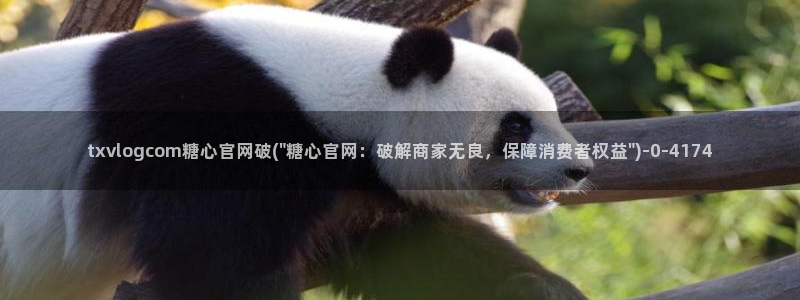 糖心vlog大全