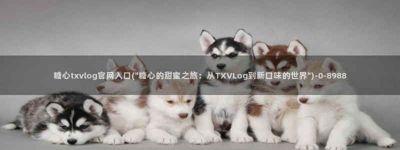 糖心vlog.：糖心txvlog官网入口(\