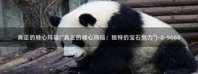 糖心vlog小二：真正的糖心玛瑙(\