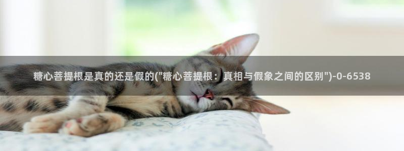 糖心vlog,在线观看