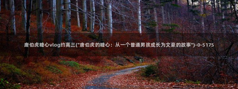 糖心vlog视频在线看：唐伯虎糖心vlog约高三