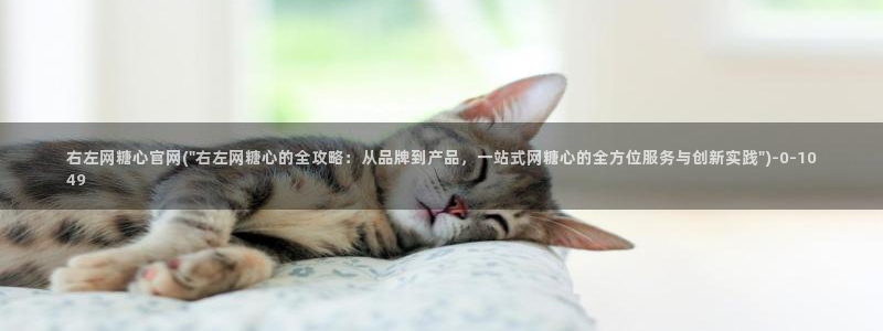 糖心vlog观网观看